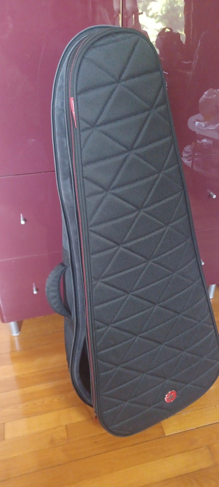 Guitar 🎸 Case