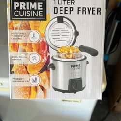 New Deep Fryer 