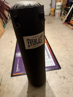 Everlast Punching Bag