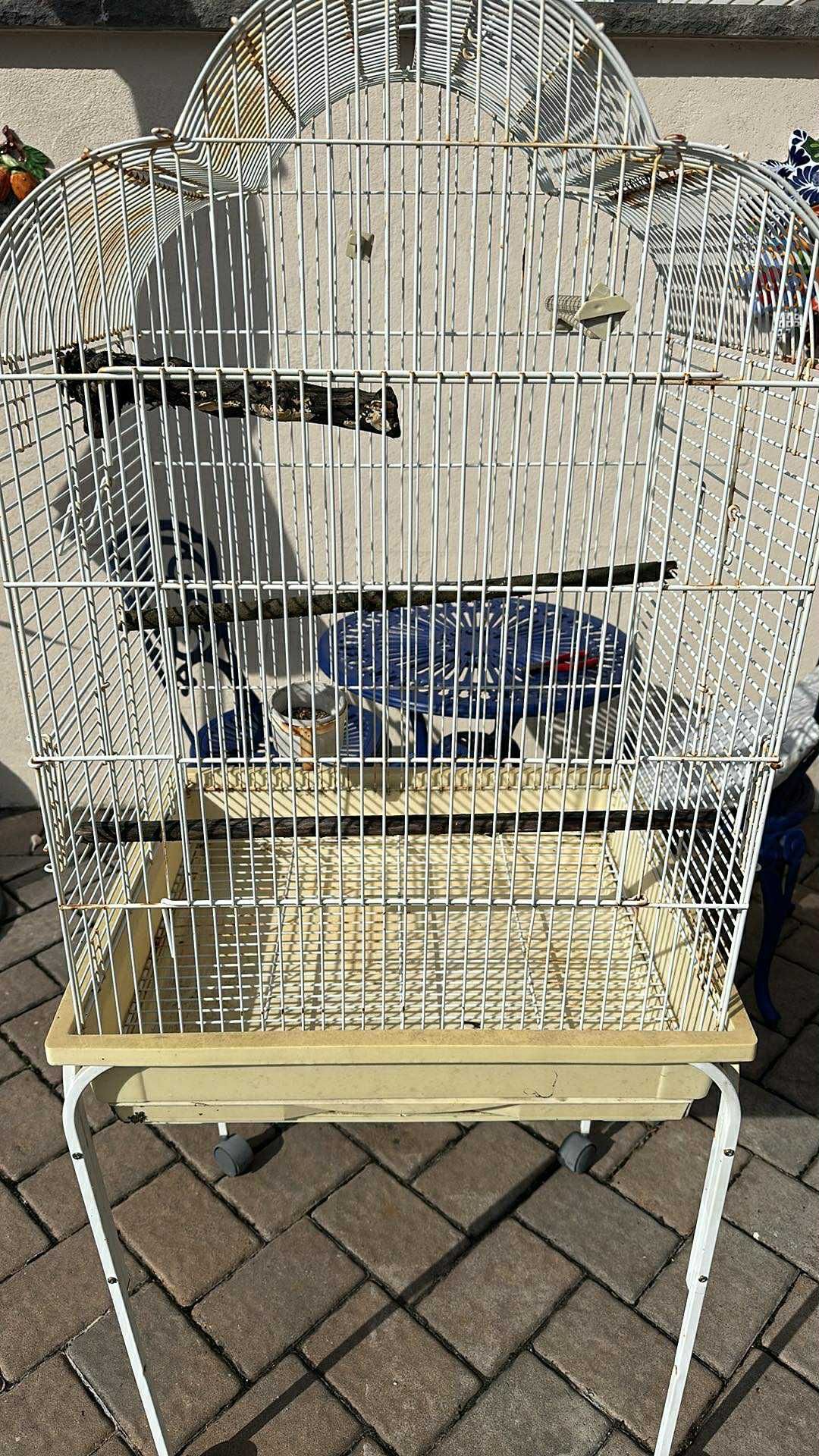 Bird Cage With Male Parakeet