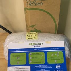 Great Earth Queen Size Bamboo Pillow  (1)