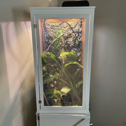 Reptile Enclosure