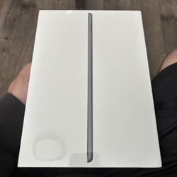 Apple iPad 