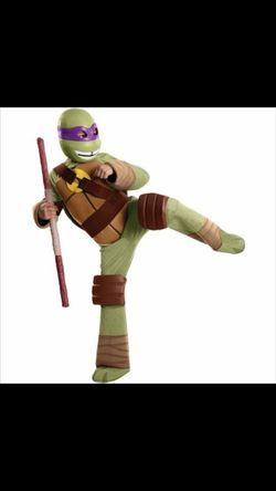 Ninja turtle costume