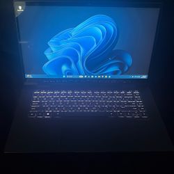 HP Envy Laptop