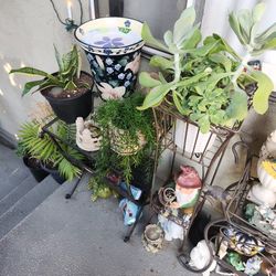 Plant Yard Sale Starts Today!
