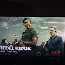 65 In Vizio