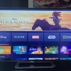 42inch Vizio Gaming TV