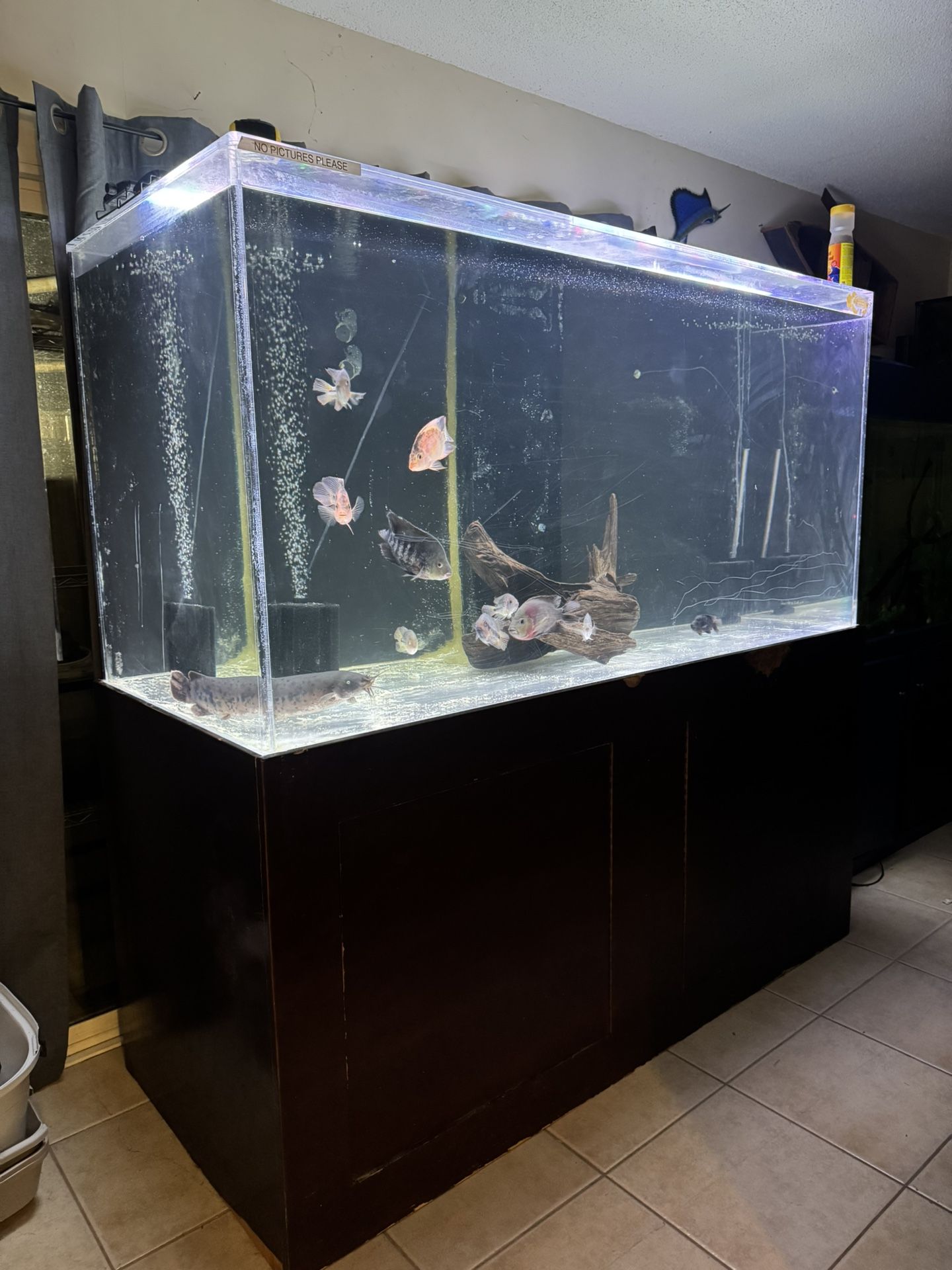 Fish Tank Aquarium 340 Gallon Acrylic
