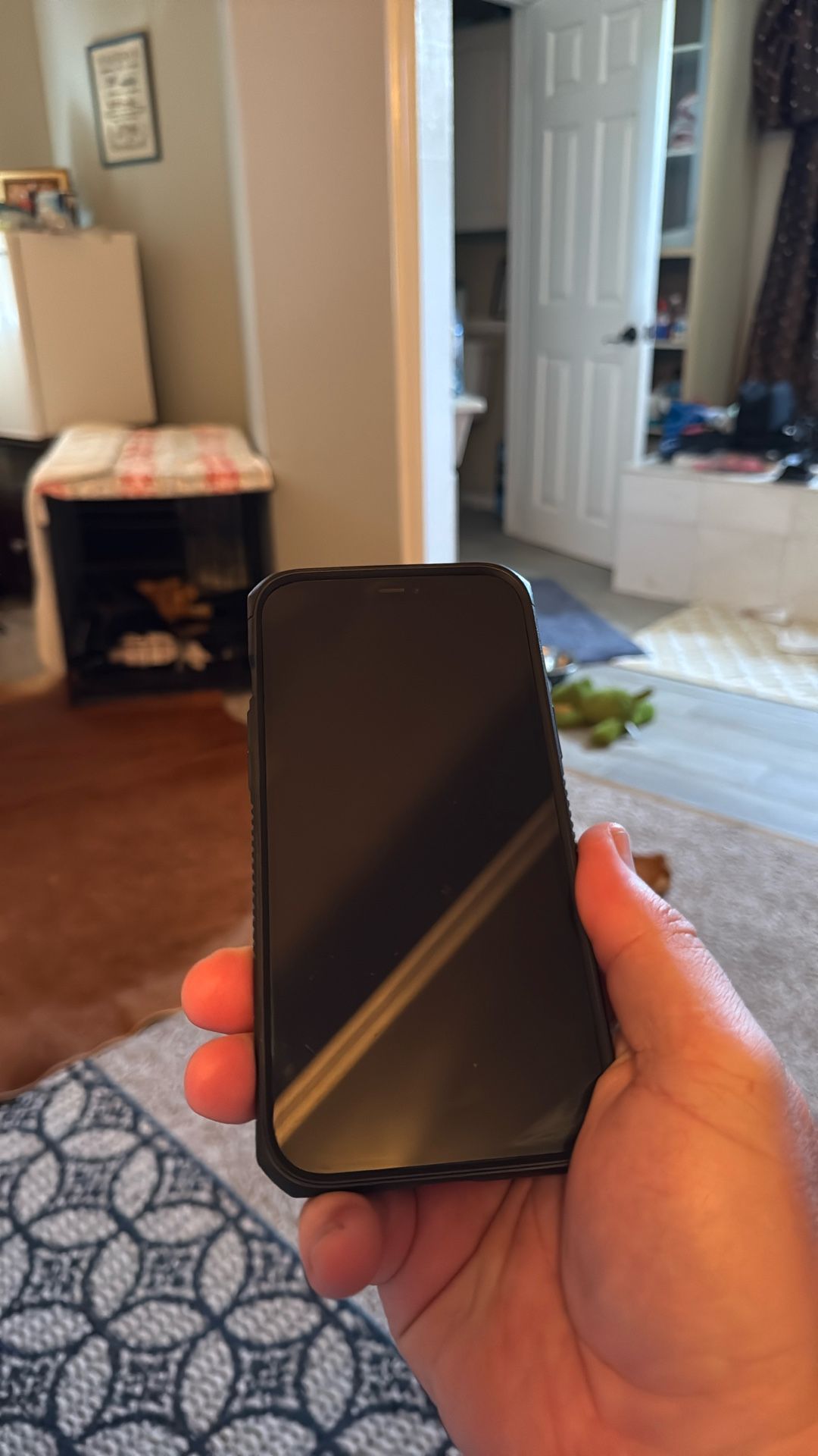 iPhone 12 Pro Max AND Apple Watch 44mm
