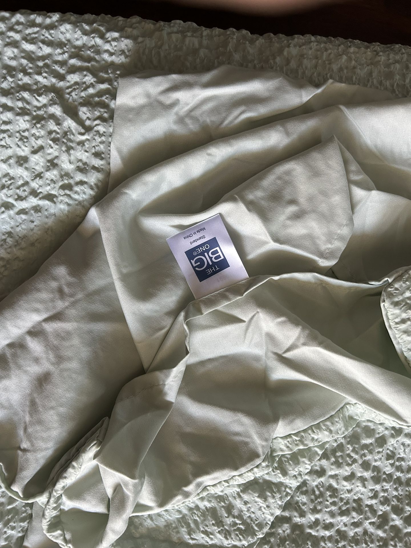 Twin Xl Comforter With Matching Pillow Case Lite Green (Super Soft Great For Dorm)