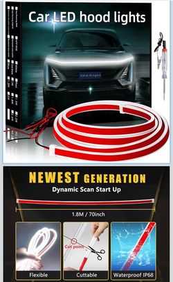 LED dynamic hood light