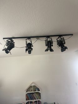 Photographer Spot Lights