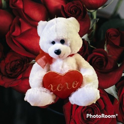 Petting Zoo Plush Kisses And Hugs Teddy Bear