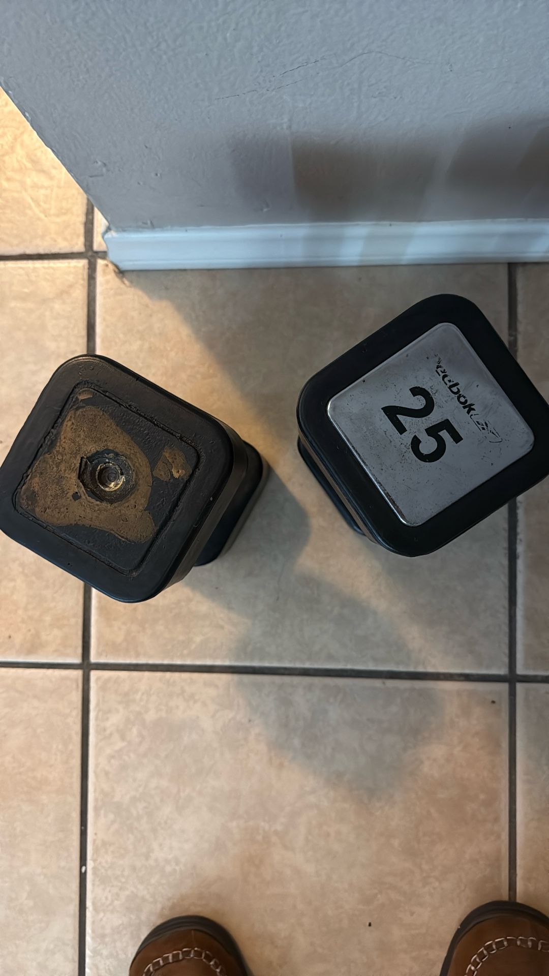 2 25lb Dumbbells 