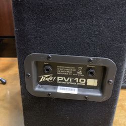 Peavey 10” Two Way Speakers