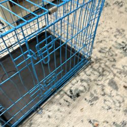Dog Kennel 