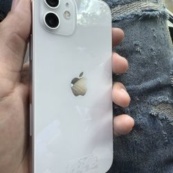 iPhone 12 (64gb)