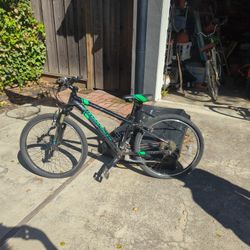 Cannondale - large kids bike