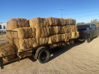 Hay,alfalfa,straw,bedding,compost,animals 