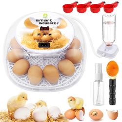 Hatching Egg