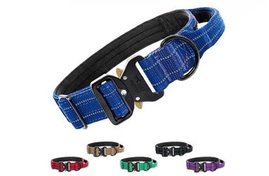 Medium blue dog collar