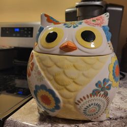 Pier 1 hand painted owl cookie jar