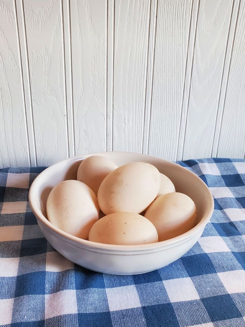 Ducks Eggs - Organic