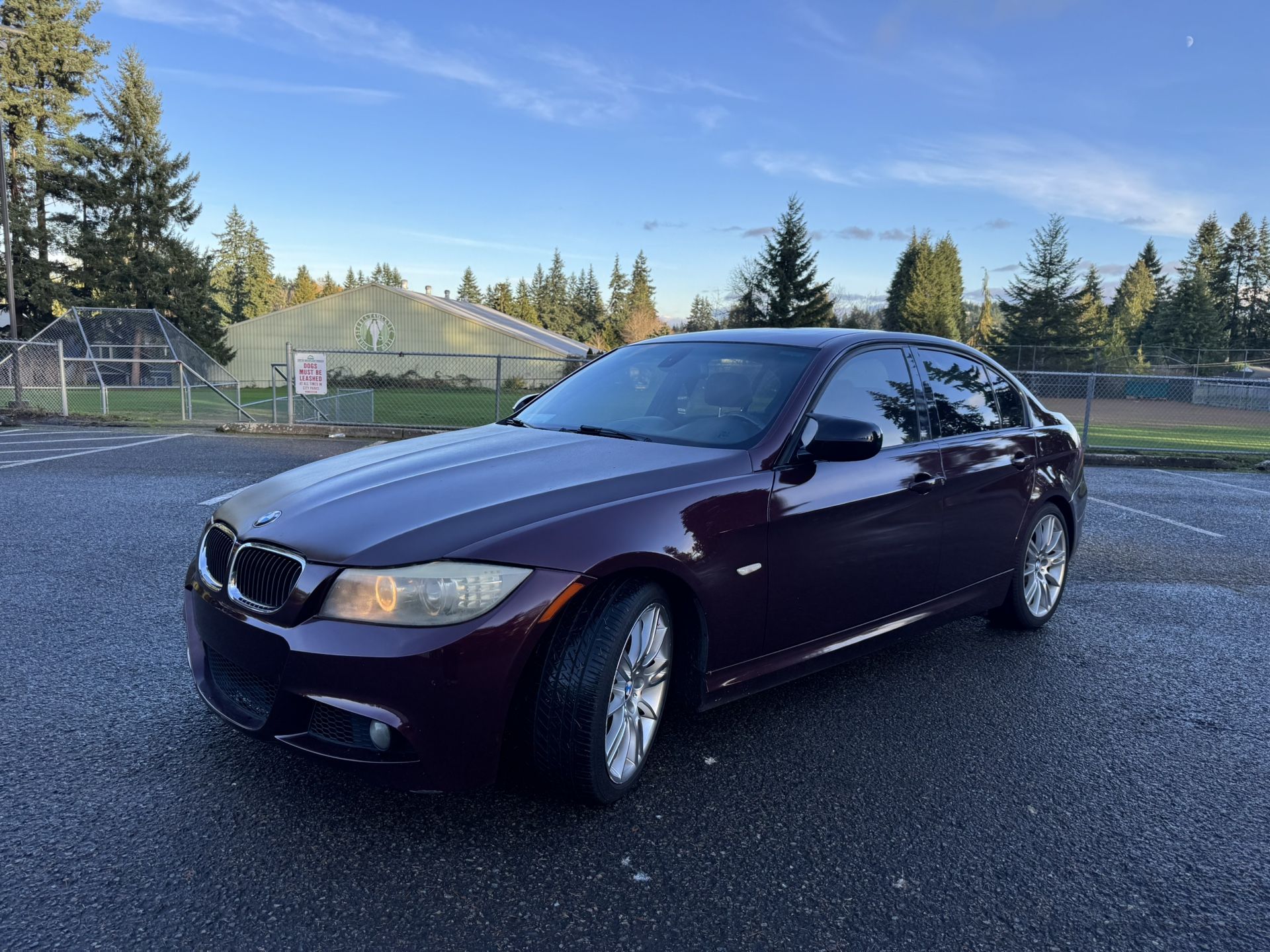 2010 BMW 335d