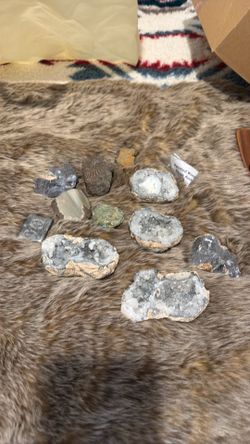Geode, Castle Dome Iron, Fossil, Petrified Wood Collection