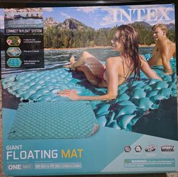 Intex 3 person floating mat