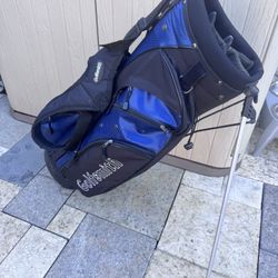 Golfsmith Golf Stand Bag Backpack 