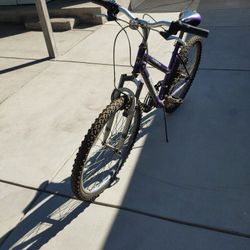 Roadmaster Bike women