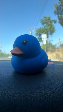 Duck squishy