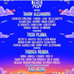 Baja Fest Wristbands GA+ (At Rosarito) 