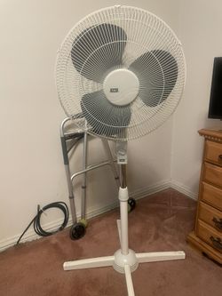 Large Fan