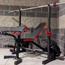 Professional Bench, Bench Press, Adjustable Bench, Weights, Olympic Bars, Dumbbells.