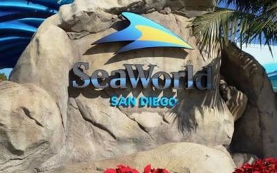 Sea world tickets