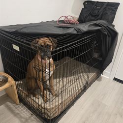 Large Dog Crate