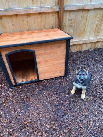 Dog house