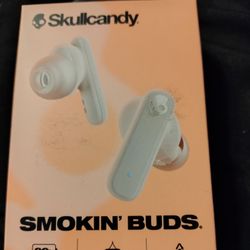 Skull Candy Earbuds
