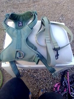 Dog Harness