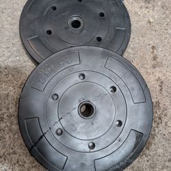 (2) 25 LB weights & (4) 2.5 LB weights & 1 small bar all for $60