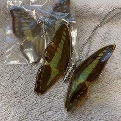 Real Butterfly Specimen Necklace