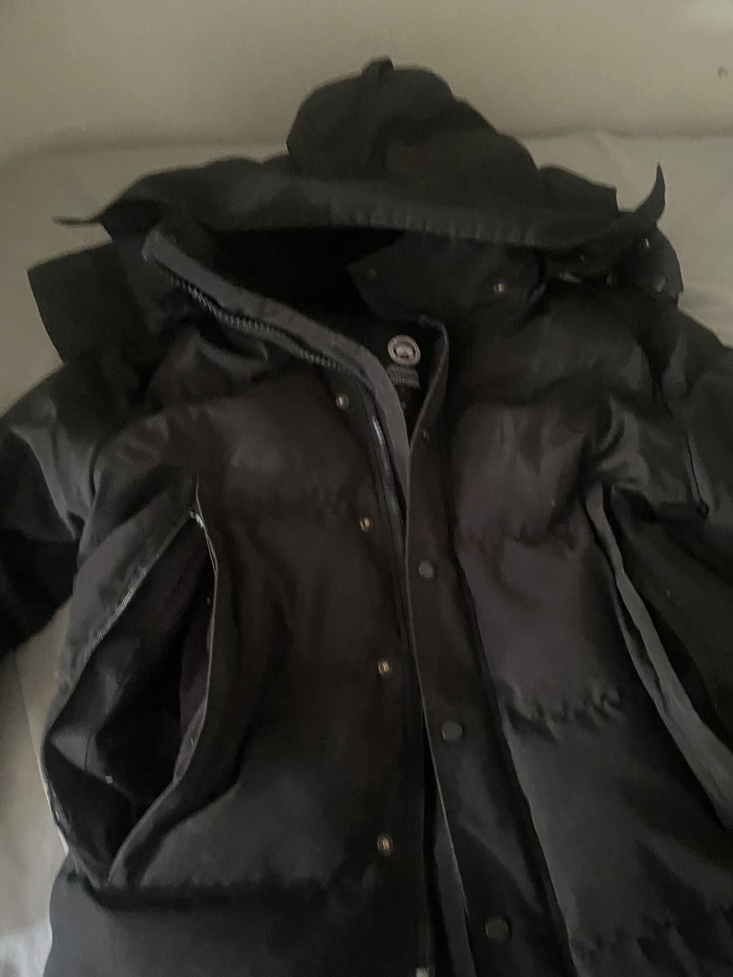 canada goose medium 