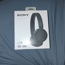 Headphones: Sony WH-CH520
