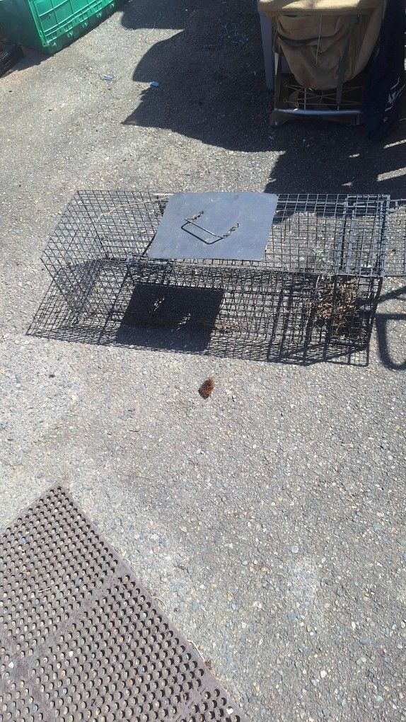 LARGE RODENT TRAP ANIMAL CAGE $20 BUCKS