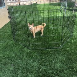 Folding Metal Pet Playpen