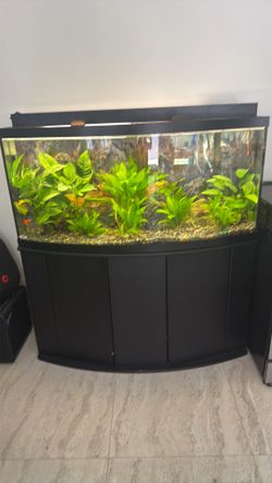 se vende pescera de 65 galones con mueble incluida