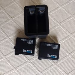 Gopro Batteries And Charger 2 Batteries Good Condition